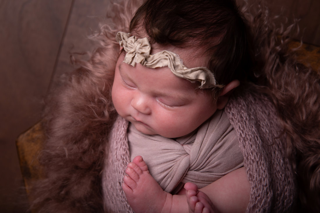 Newborn Photography, Purple