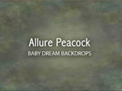 Allure Peacock Backdrop